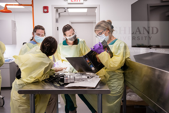 PAProgramCadaverLab1221ALW_3668
