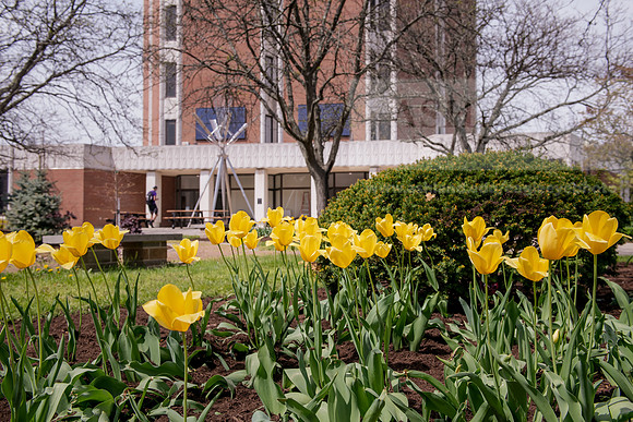 SpringCampusLife0421ALW_9501-2