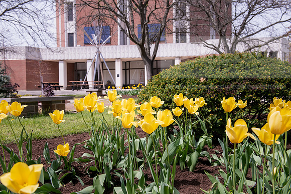 SpringCampusLife0421ALW_9505-2