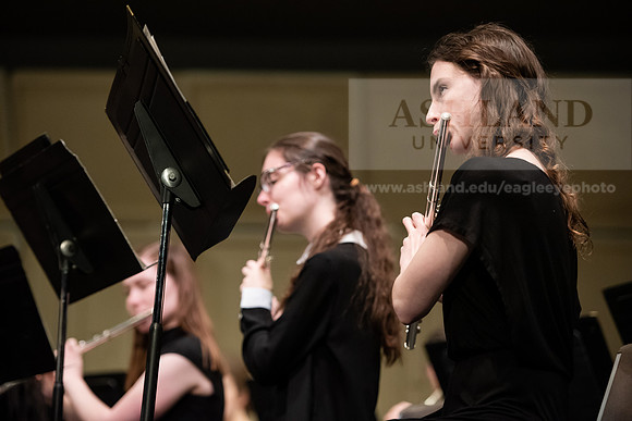 The Spring Band Concert