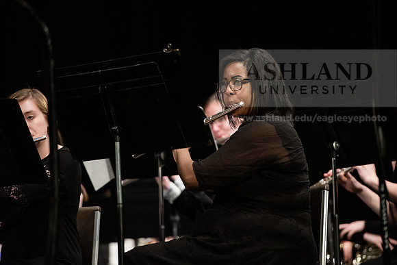 The Spring Band Concert