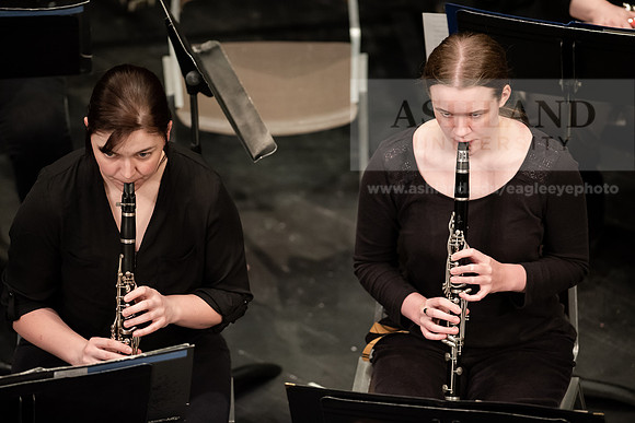 The Spring Band Concert