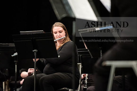 The Spring Band Concert