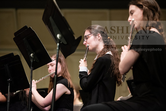 The Spring Band Concert