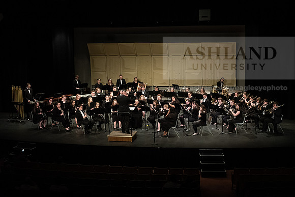 The Spring Band Concert