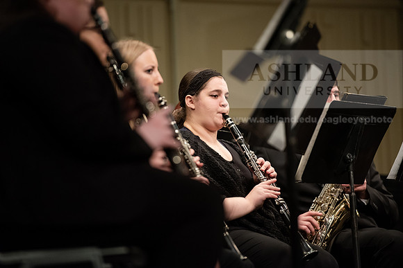 The Spring Band Concert