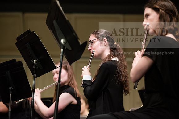 The Spring Band Concert