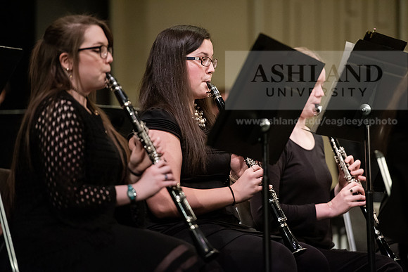 The Spring Band Concert
