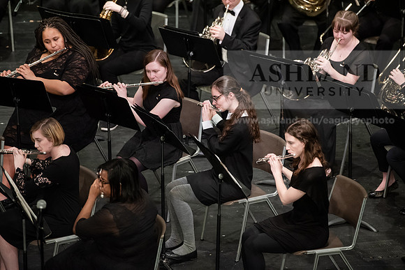 The Spring Band Concert