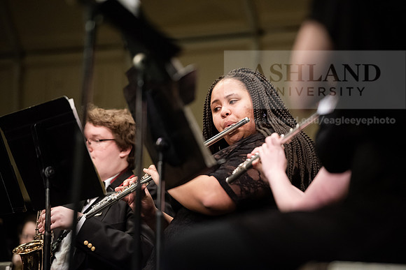 The Spring Band Concert
