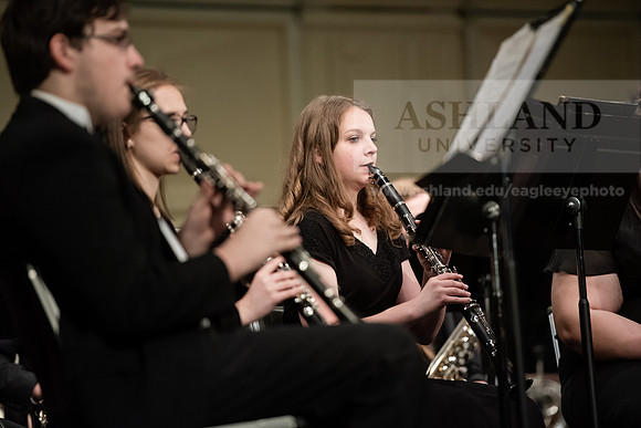 The Spring Band Concert
