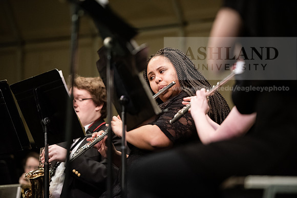 The Spring Band Concert