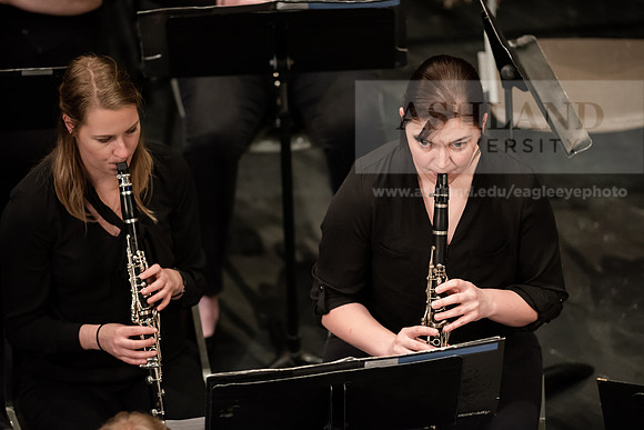 The Spring Band Concert
