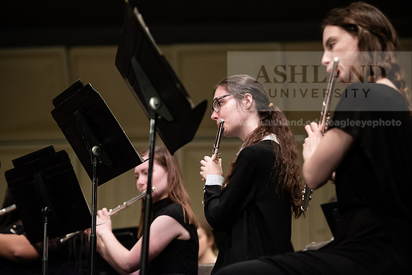 The Spring Band Concert