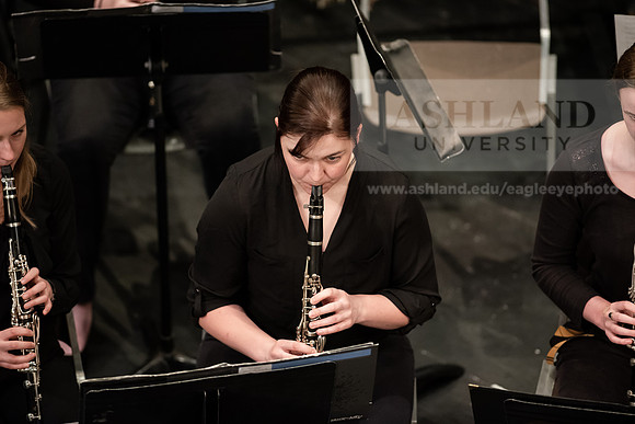 The Spring Band Concert