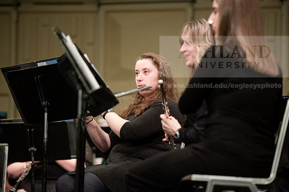 The Spring Band Concert