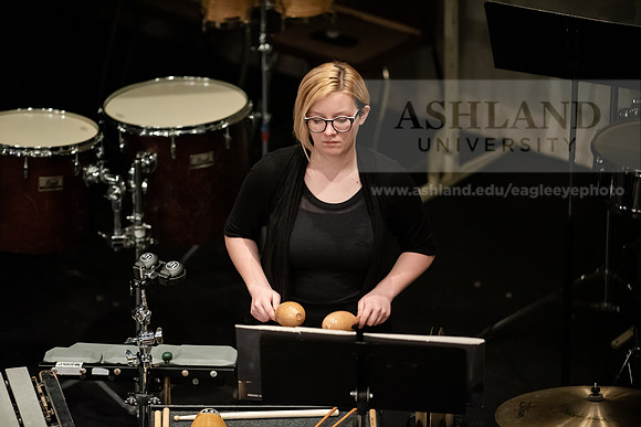 The Spring Band Concert