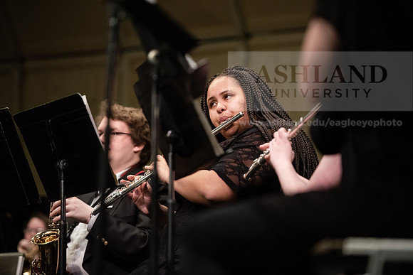 The Spring Band Concert