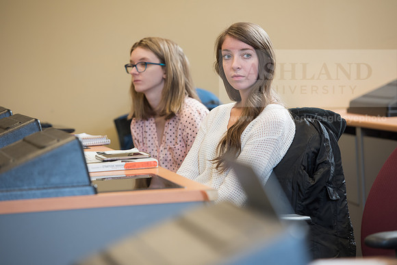 Business Management - Senior Seminar Strategy Capstone