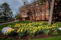 SpringCampus0419ALW_1264