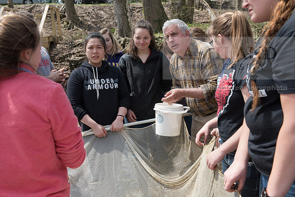 Biology Stream Clean Up - Canfield Preserve