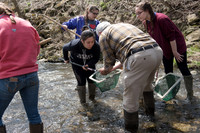 Biology Stream Clean Up - Canfield Preserve