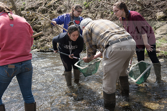 Biology Stream Clean Up - Canfield Preserve