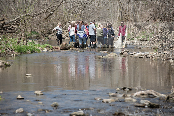 Biology Stream Clean Up - Canfield Preserve