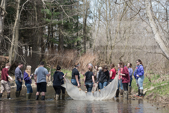 Biology Stream Clean Up - Canfield Preserve