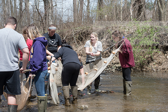 Biology Stream Clean Up - Canfield Preserve