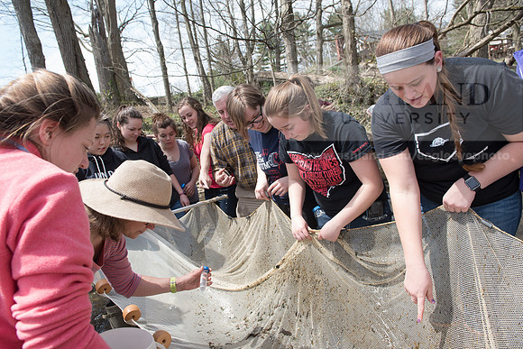 Biology Stream Clean Up - Canfield Preserve