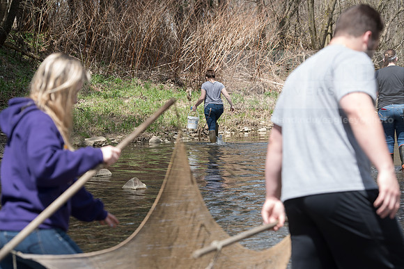 Biology Stream Clean Up - Canfield Preserve