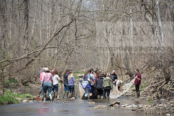 Biology Stream Clean Up - Canfield Preserve