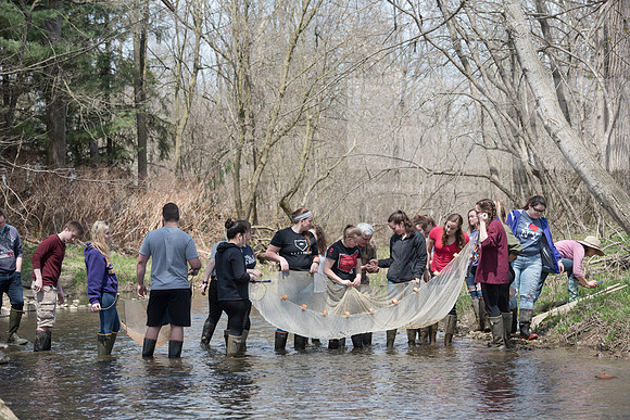 Biology Stream Clean Up - Canfield Preserve