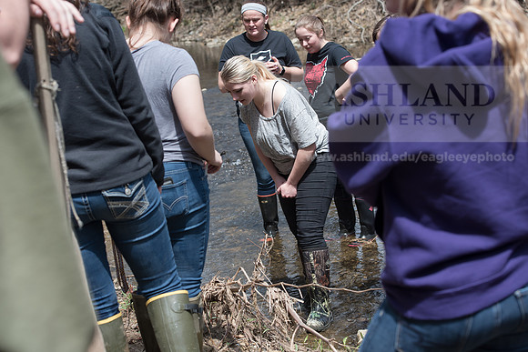 Biology Stream Clean Up - Canfield Preserve