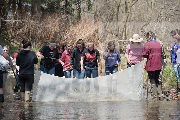 Biology Stream Clean Up - Canfield Preserve