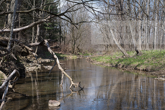 Biology Stream Clean Up - Canfield Preserve