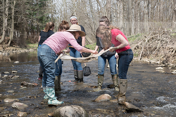 Biology Stream Clean Up - Canfield Preserve
