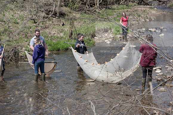 Biology Stream Clean Up - Canfield Preserve