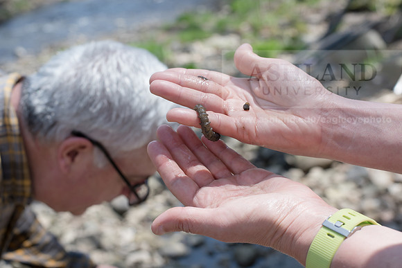 Biology Stream Clean Up - Canfield Preserve