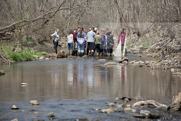 Biology Stream Clean Up - Canfield Preserve