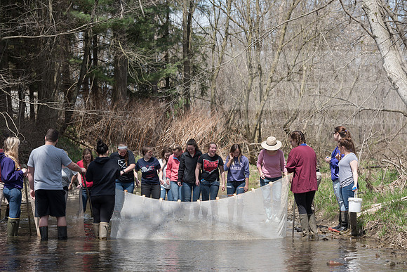 Biology Stream Clean Up - Canfield Preserve