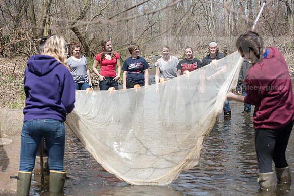 Biology Stream Clean Up - Canfield Preserve