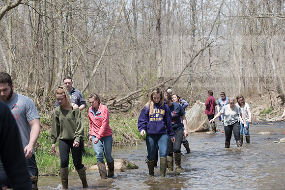 Biology Stream Clean Up - Canfield Preserve