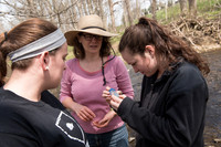 Biology Stream Clean Up - Canfield Preserve
