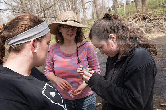 Biology Stream Clean Up - Canfield Preserve