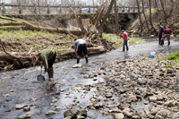 Biology Stream Clean Up - Canfield Preserve