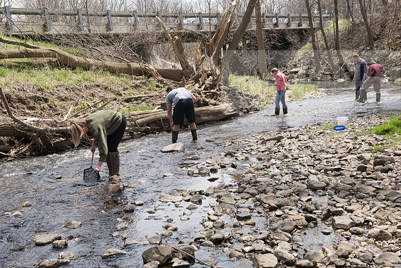 Biology Stream Clean Up - Canfield Preserve