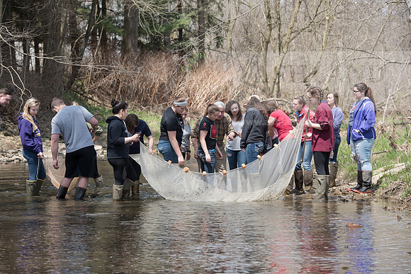 Biology Stream Clean Up - Canfield Preserve