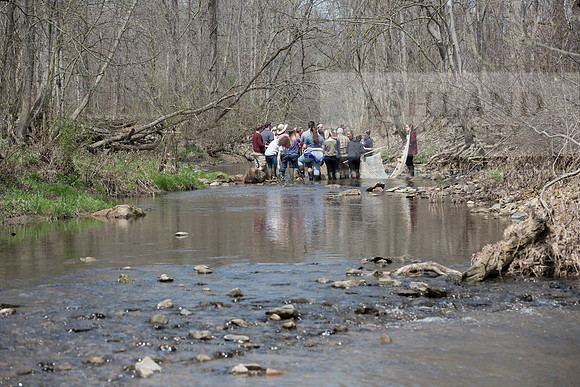 Biology Stream Clean Up - Canfield Preserve